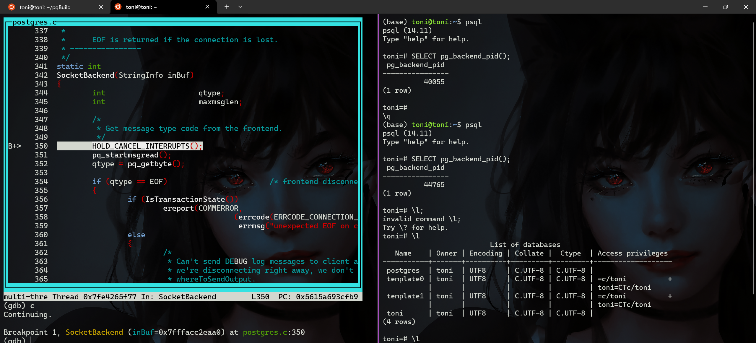 gdb-SocketBackend