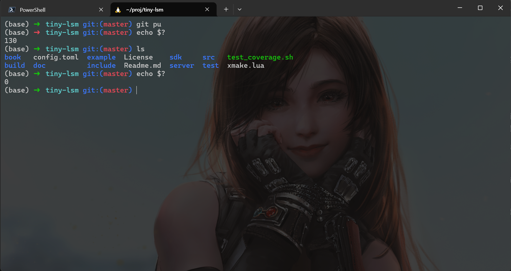 zsh